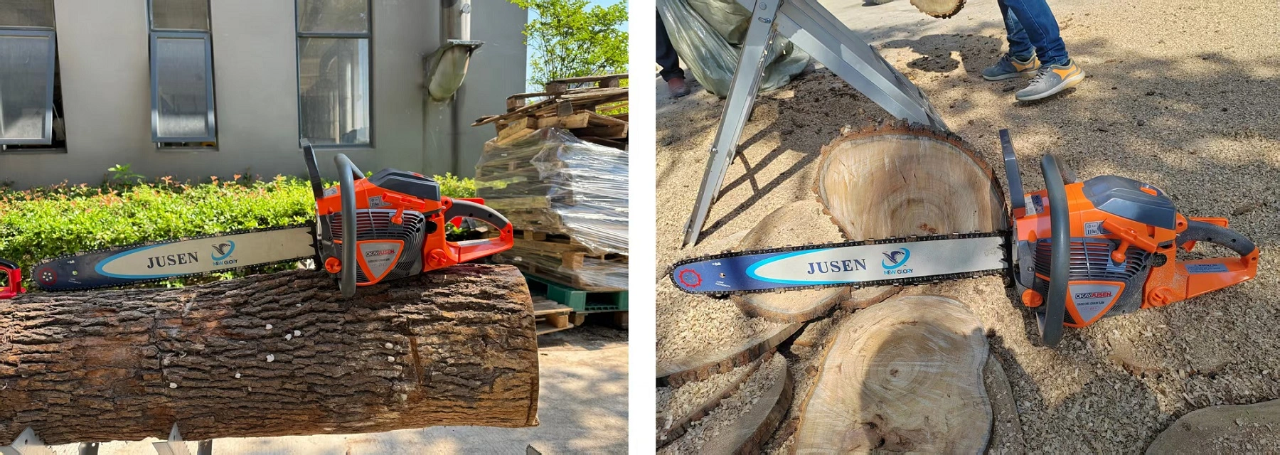 65cc Gas Powered Chainsaw -Applications 65cc Gas Powered Chainsaw -Applications