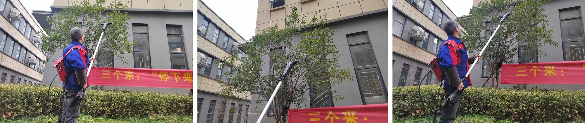 Hand Held Olive Harvester Machine - Applications