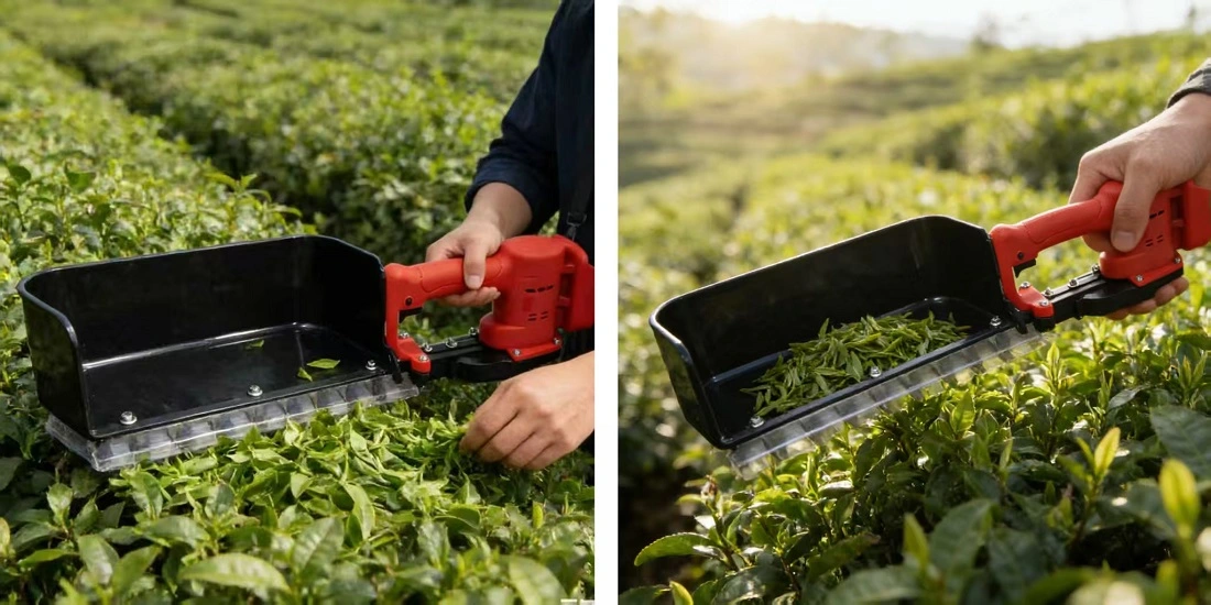 21v Lithium-Ion Brushless Hedge Trimmer-Applications 21v Lithium-Ion Brushless Hedge Trimmer-Applications