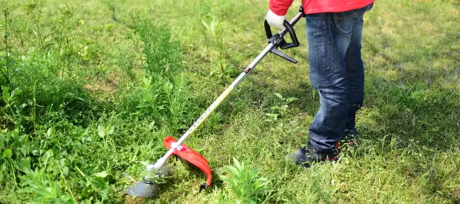 35.8cc 4-Stroke Petrol Brush Cutter