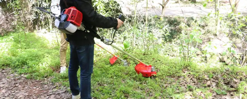 52cc Petrol Brush Cutter