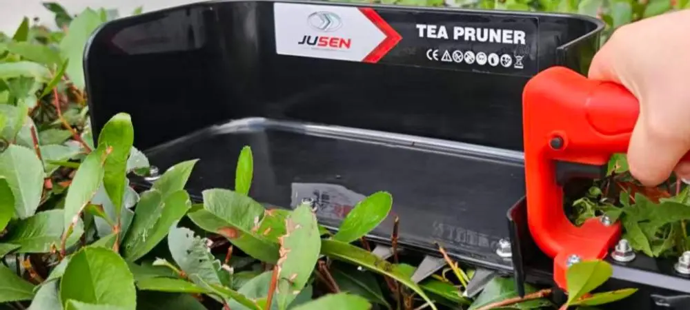Tea Leaf Picking Machine Tea Leaf Picking Machine
