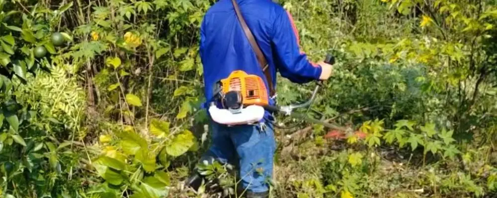 52cc Petrol Brush Cutter