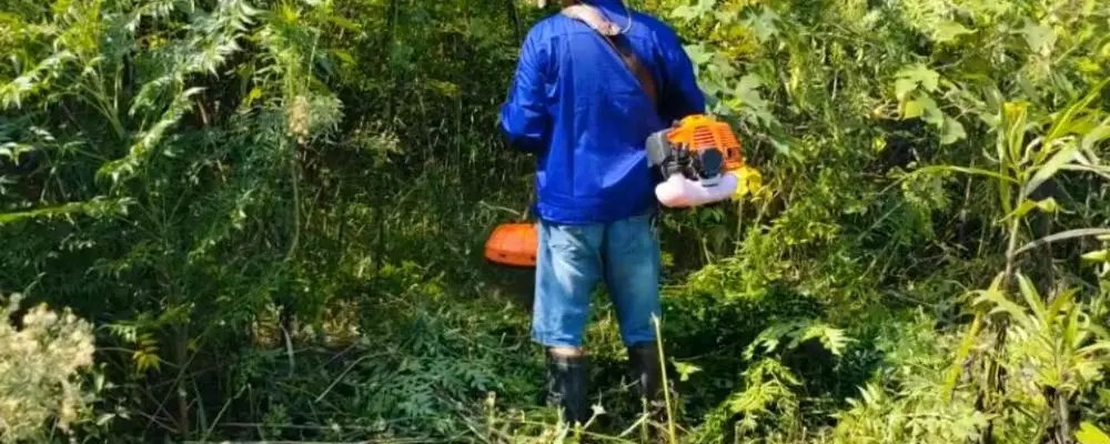 52cc Petrol Brush Cutter