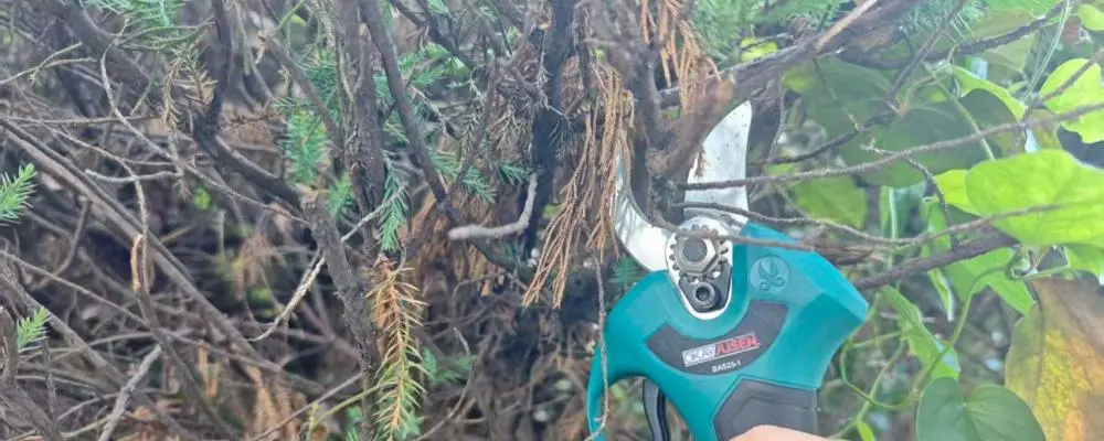 Electric Pruning Shears Cordless