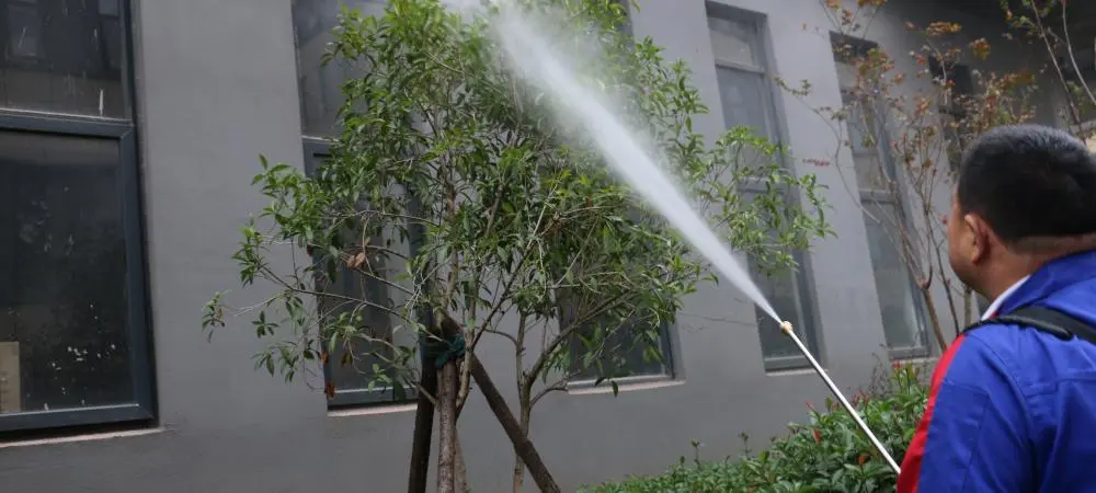 Spraying Machine Gas Powered