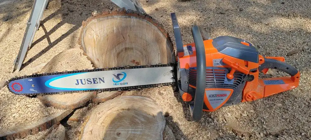 65cc Gas Powered Chainsaw 65cc Gas Powered Chainsaw