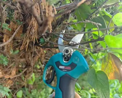 Do Electric Pruning Shears Cordless Need Blade Oil?