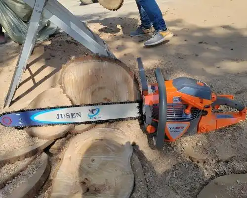 How Does Engine Design Affect a 65cc Gas Powered Chainsaw’s Power?