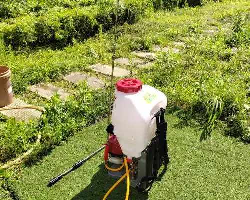 What Should You Check Before Buying a Spraying Machine Gas Powered?