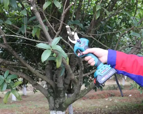 How Durable Are Electric Pruning Shears Cordless Over Time?