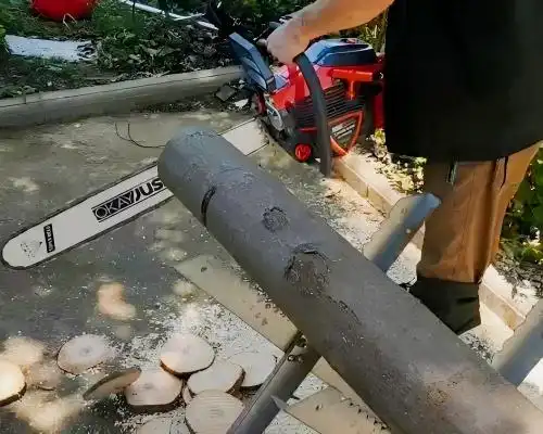 Best 65cc Gas Powered Chainsaw for Logging and Land Clearing