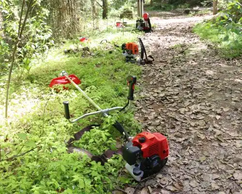 Why Do Professionals Prefer 52cc Petrol Brush Cutters?